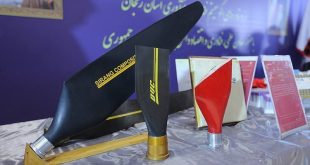 گام ارزشمند دانش‌بنیان‌ها در خودکفایی صنعت هوایی/ تولید ملخ
پرنده‌های سبک در زنجان + تصاویر