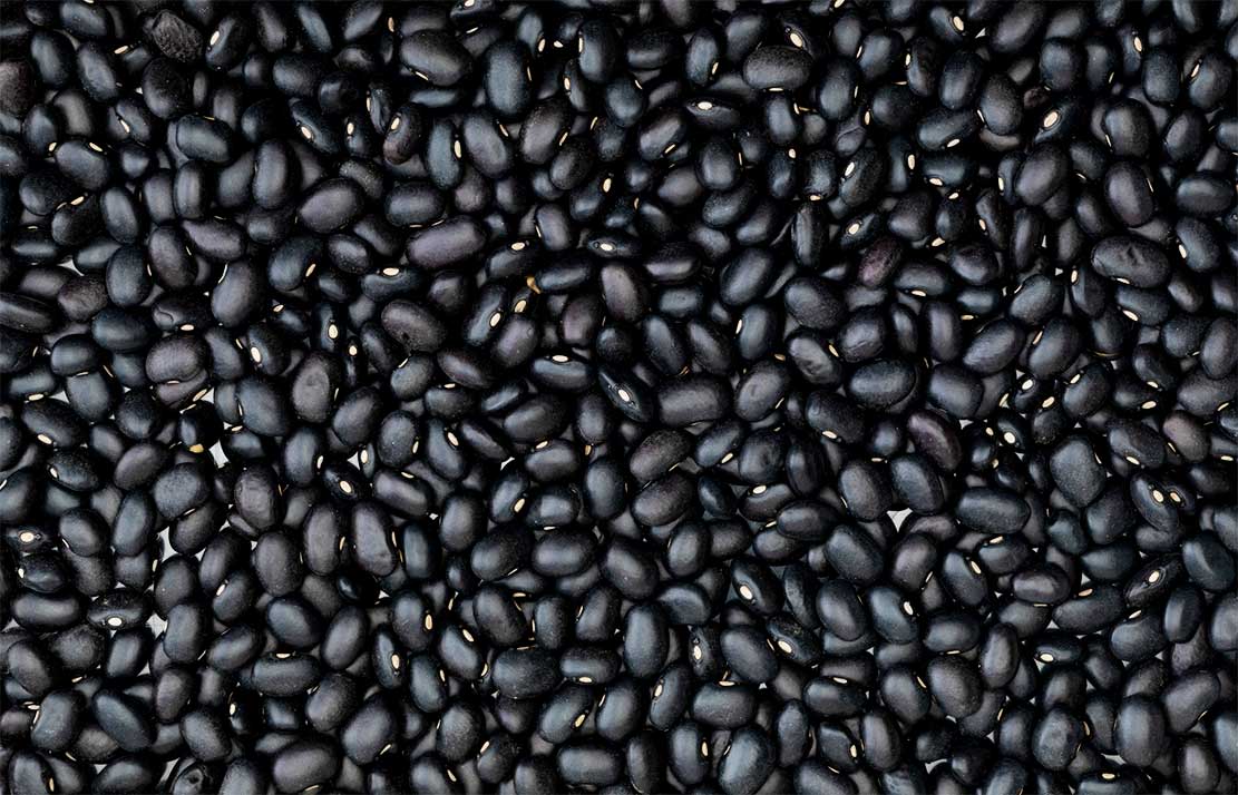 لوبیا سیاه